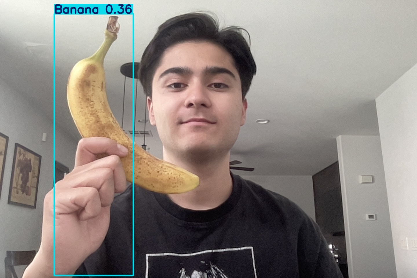 yolo 3